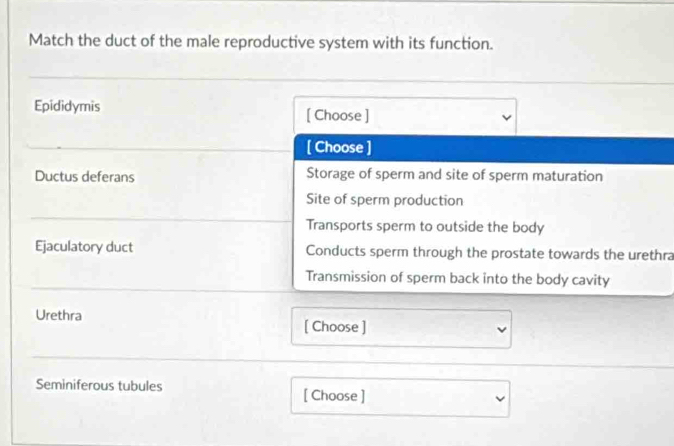 Match the duct of the male reproductive system with its function.
Epididymis [ Choose ]
[ Choose ]
Ductus deferans Storage of sperm and site of sperm maturation
Site of sperm production
Transports sperm to outside the body
Ejaculatory duct Conducts sperm through the prostate towards the urethra
Transmission of sperm back into the body cavity
Urethra [ Choose ]
Seminiferous tubules [ Choose ]