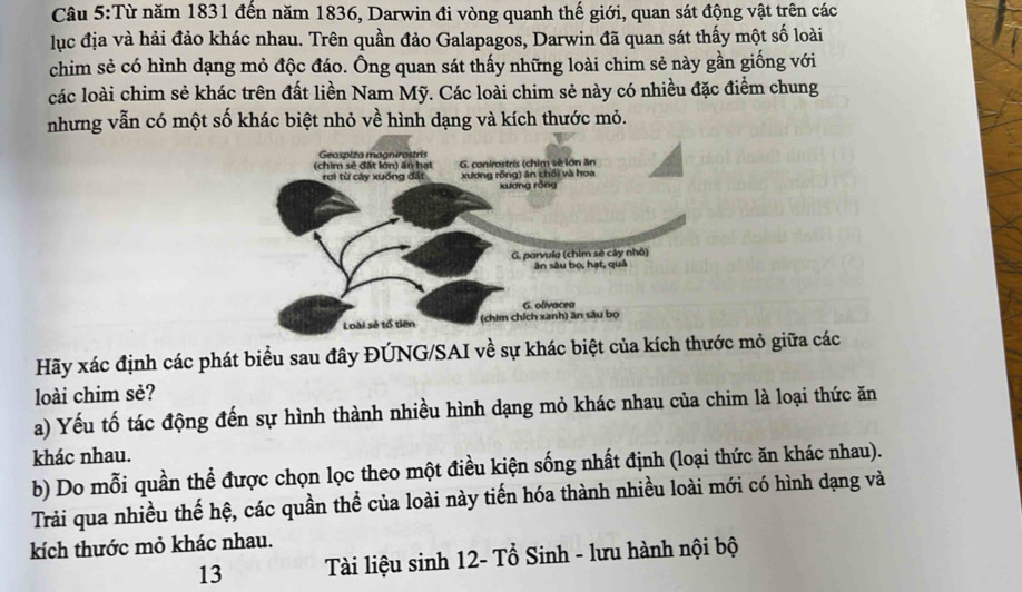 Từ năm 1831 đến năm 1836, Darwin đi vòng quanh thế giới, quan sát động vật trên các 
lục địa và hải đảo khác nhau. Trên quần đảo Galapagos, Darwin đã quan sát thấy một số loài 
chim sẻ có hình dạng mỏ độc đáo. Ông quan sát thấy những loài chim sẻ này gần giống với 
các loài chim sẻ khác trên đất liền Nam Mỹ. Các loài chim sẻ này có nhiều đặc điểm chung 
nhưng vẫn có một số khác biệt nhỏ về hình dạng và kích thước mỏ. 
Hãy xác định các phát biểu sau đây ĐÚNG/SAI về sự khác biệt của kích thước mỏ giữa các 
loài chim sẻ? 
a) Yếu tố tác động đến sự hình thành nhiều hình dạng mỏ khác nhau của chim là loại thức ăn 
khác nhau. 
b) Do mỗi quần thể được chọn lọc theo một điều kiện sống nhất định (loại thức ăn khác nhau). 
Trải qua nhiều thế hệ, các quần thể của loài này tiến hóa thành nhiều loài mới có hình dạng và 
kích thước mỏ khác nhau.
13 Tài liệu sinh 12 - Tổ Sinh - lưu hành nội bộ