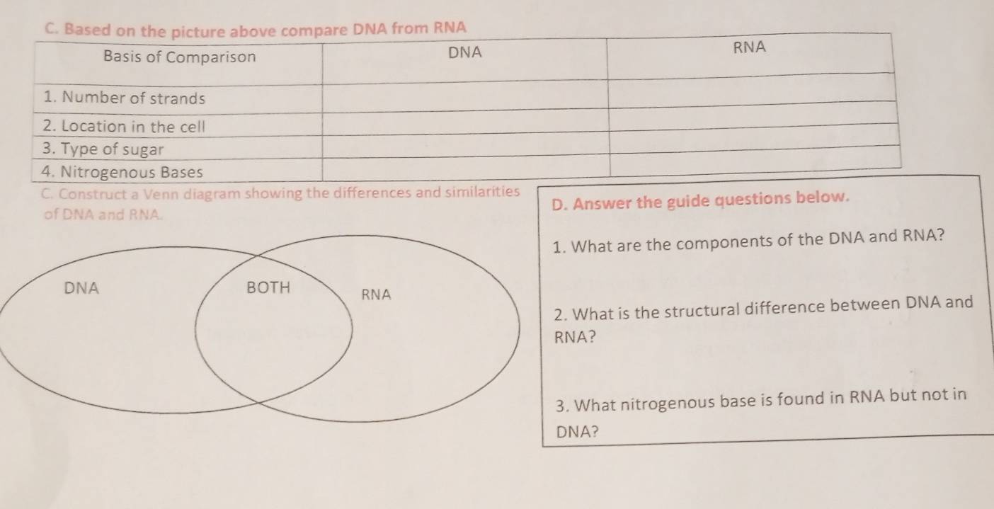 Construct a Venn diagram showing the differences and similarities 
of DNA and RNA. D. Answer the guide questions below. 
at are the components of the DNA and RNA? 
at is the structural difference between DNA and 
at nitrogenous base is found in RNA but not in