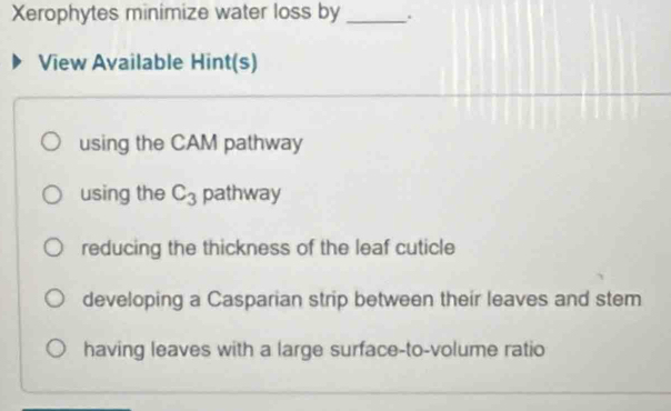 Xerophytes minimize water loss by _. 
View Available Hint(s) 
using the CAM pathway 
using the C_3 pathway 
reducing the thickness of the leaf cuticle 
developing a Casparian strip between their leaves and stem 
having leaves with a large surface-to-volume ratio