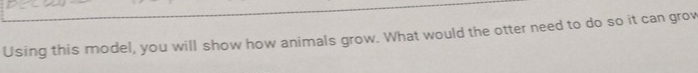 Using this model, you will show how animals grow. What would the otter need to do so it can grow