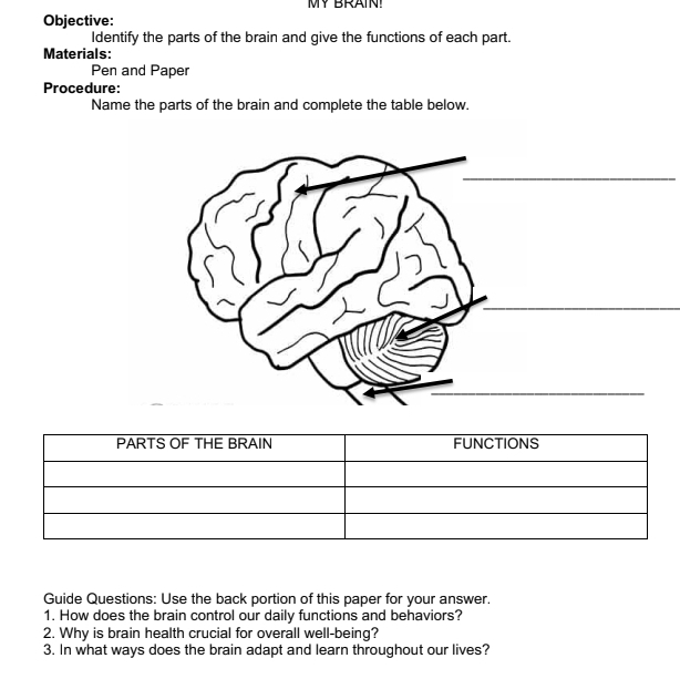 MY BRAIN! 
Objective: 
Identify the parts of the brain and give the functions of each part. 
Materials: 
Pen and Paper 
Procedure: 
Name the parts of the brain and complete the table below. 
_ 
_ 
Guide Questions: Use the back portion of this paper for your answer. 
1. How does the brain control our daily functions and behaviors? 
2. Why is brain health crucial for overall well-being? 
3. In what ways does the brain adapt and learn throughout our lives?