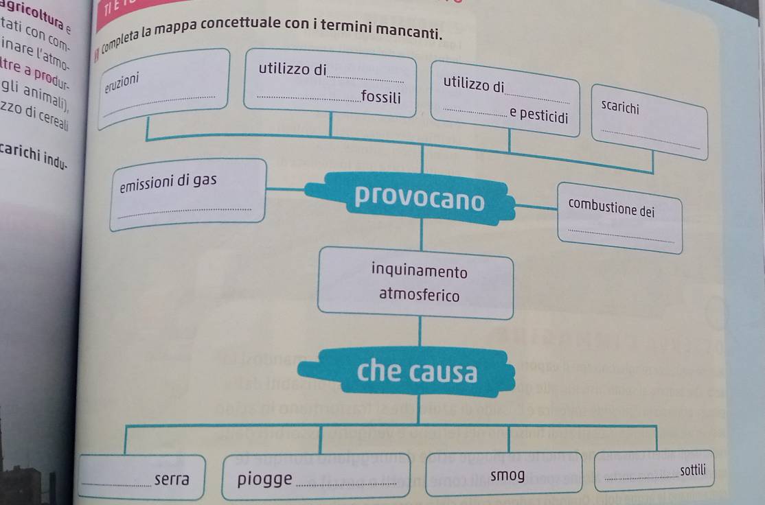 gricoltura 
tati con com Completa la mappa concettuale con i termini mancanti. 
ínare l'atmo tre a produr eruzioni 
_ 
utilizzo di 
utilizzo di_ scarichi 
gli animali)_ 
_fossili 
_ 
e pesticidi 
zzo di cereal 
carichi indu. 
emissioni di gas 
_provocano 
combustione dei 
_ 
inquinamento 
atmosferico 
che causa 
_serra piogge_ smog _sottili