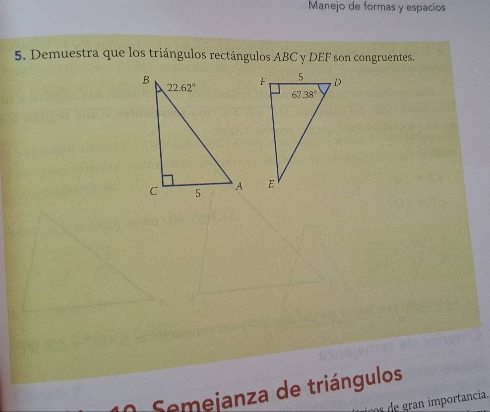 Manejo de formas y espacios
5. Demuestra que los triángulos rectángulos ABC y DEF son congruentes.
Semejanza de triángulos
çcos de gran importancia.