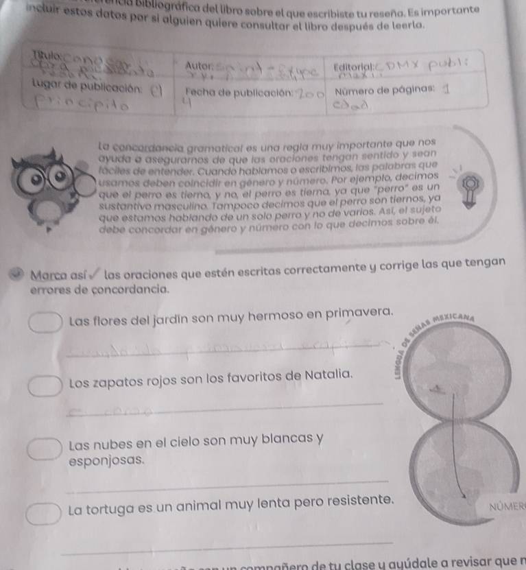 ca bbiográfica del libro sobre el que escribiste tu reseño. Es importante 
incluir estos datos por si alguien quiere consultar el libro después de leerla. 
a concordancia gramatical es una regla muy importante que nos 
yuda a aseguramos de que las oraciones tengan sentido y sean 
áciles de entender. Cuando hablamos o escríbimos, las palabras que 
samos deben coincidir en género y número. Por ejemplo, decimos 
ue el perro es tierno, y no, el perro es tierna, ya que "perro" es un 
ustantivo masculino. Tampoco decimos que el perro son tiernos, ya 
ue estamos hablando de un solo perro y no de varios. Así, el sujeto 
debe concordar en género y número con lo que decimos sobre él. 
Marca así las oraciones que estén escritas correctamente y corrige las que tengan 
errores de çoncordancia. 
Las flores del jardín son muy hermoso en primavera. 
_ 
Los zapatos rojos son los favoritos de Natalia. 
_ 
Las nubes en el cielo son muy blancas y 
esponjosas. 
_ 
La tortuga es un animal muy lenta pero resistenteNÜMER 
_ 
apañero de tu clase y ayúdale a revisar que n