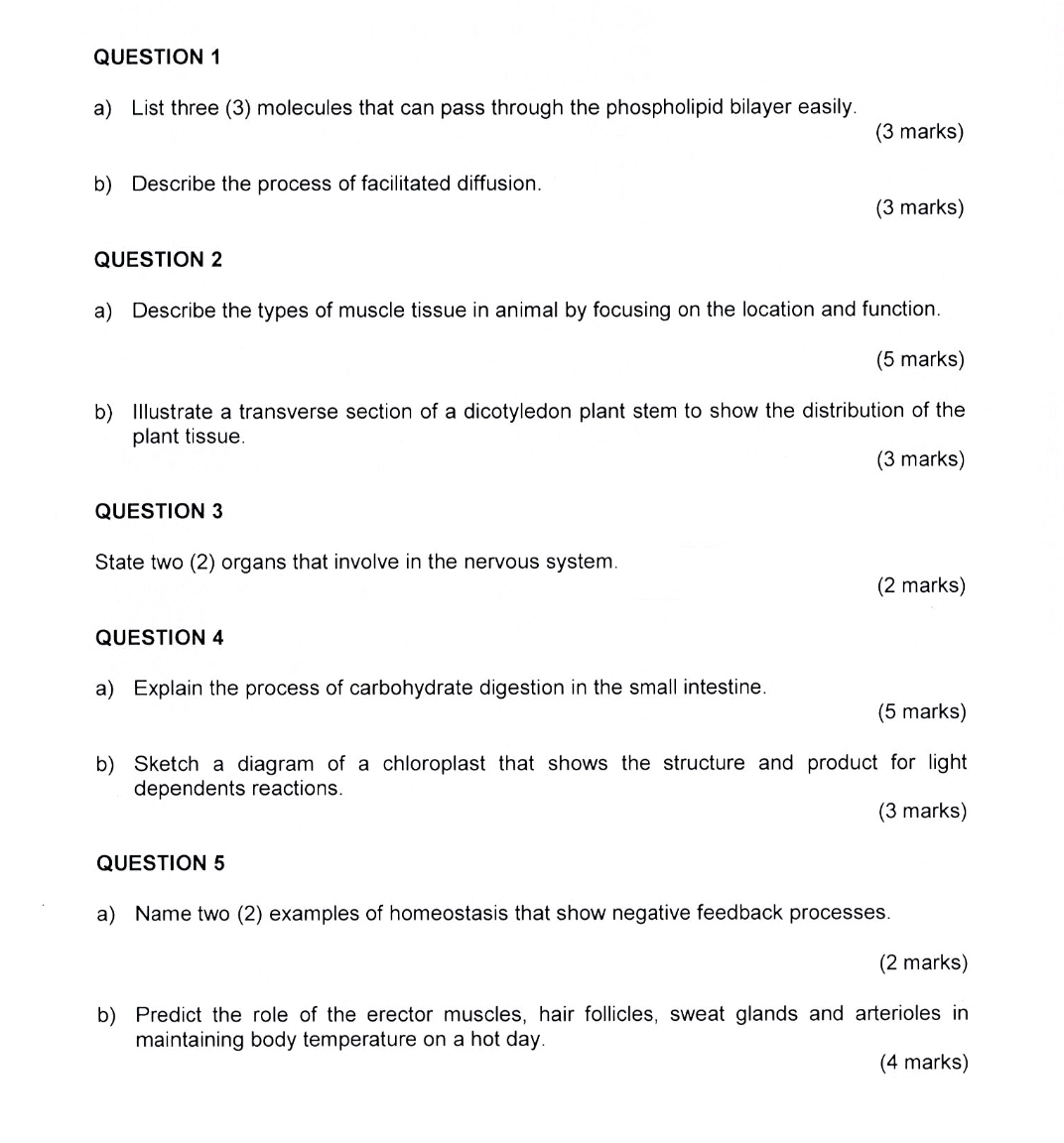 List three (3) molecules that can pass through the phospholipid bilayer easily. 
(3 marks) 
b) Describe the process of facilitated diffusion. 
(3 marks) 
QUESTION 2 
a) Describe the types of muscle tissue in animal by focusing on the location and function. 
(5 marks) 
b) Illustrate a transverse section of a dicotyledon plant stem to show the distribution of the 
plant tissue. 
(3 marks) 
QUESTION 3 
State two (2) organs that involve in the nervous system. 
(2 marks) 
QUESTION 4 
a) Explain the process of carbohydrate digestion in the small intestine. 
(5 marks) 
b) Sketch a diagram of a chloroplast that shows the structure and product for light 
dependents reactions. 
(3 marks) 
QUESTION 5 
a) Name two (2) examples of homeostasis that show negative feedback processes. 
(2 marks) 
b) Predict the role of the erector muscles, hair follicles, sweat glands and arterioles in 
maintaining body temperature on a hot day. 
(4 marks)