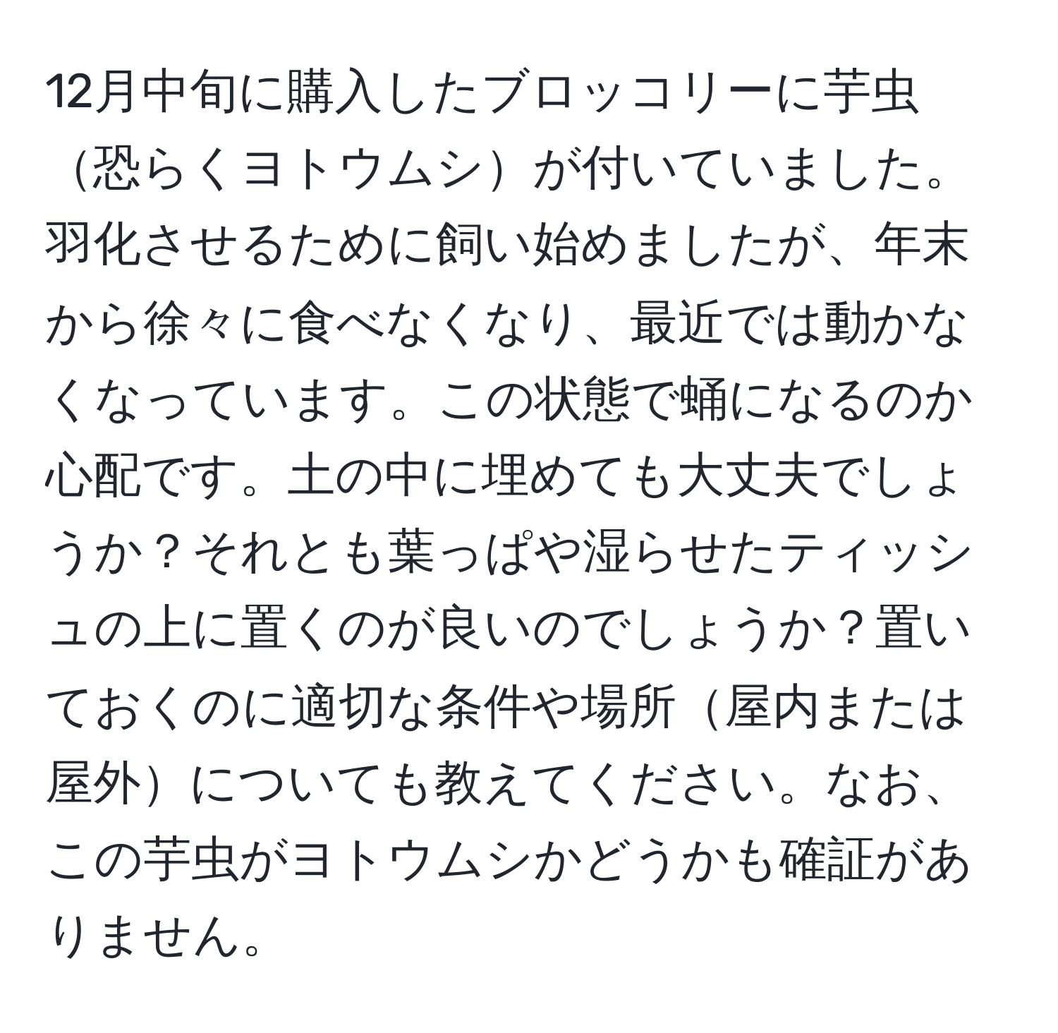 12月中旬に購入したブロッコリーに芋虫恐らくヨトウムシが付いていました。羽化させるために飼い始めましたが、年末から徐々に食べなくなり、最近では動かなくなっています。この状態で蛹になるのか心配です。土の中に埋めても大丈夫でしょうか？それとも葉っぱや湿らせたティッシュの上に置くのが良いのでしょうか？置いておくのに適切な条件や場所屋内または屋外についても教えてください。なお、この芋虫がヨトウムシかどうかも確証がありません。