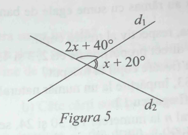 Figura 5