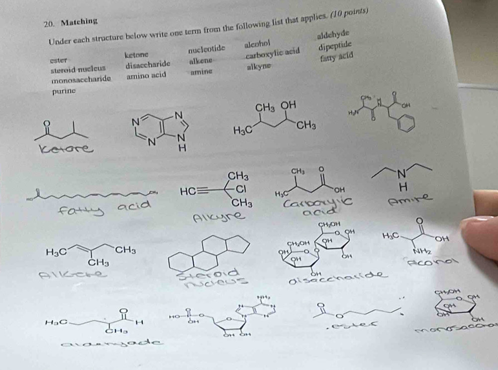 Matching 
Under each structure below write one term from the following list that applies. (10 points) 
aldehyde 
ester ketone nucleotide alcohol 
fatty acid 
steroid nucleus disaccharide alkene carboxylic acid dipeptide 
monosaceharide amino acid amine alkyne 
purine
CH_3 OH
N= N
H_3C CH_3
N N 
H
CH_3 CH_3
HCequiv Cl
H_3C
OH
CH_3
H_3C
H_3C
CH_3
downarrow H_2
CH_3
OH
H_aC
1