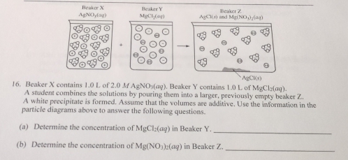 Beaker X Beaker Y
AgNOy(6q) MgCl₂(a) AgCl(s) and Mg(NO₄)₂(uq) Beaker Z
+ 
AgCl(s) 
16. Beaker X contains 1.0 L of 2.0 M AgNO₃(æφ). Beaker Y contains 1.0 L of MgCl_2(aq). 
A student combines the solutions by pouring them into a larger, previously empty beaker Z. 
A white precipitate is formed. Assume that the volumes are additive. Use the information in the 
particle diagrams above to answer the following questions. 
(a) Determine the concentration of MgCl_2(aq) in Beaker Y. 
_ 
(b) Determine the concentration of Mg(NO_3)_2(aq) in Beaker Z. 
_