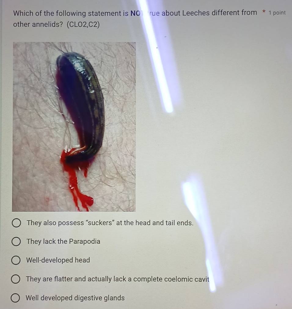 Which of the following statement is NO rue about Leeches different from * 1 point
other annelids? (CLO2,C2)
They also possess “suckers” at the head and tail ends.
They lack the Parapodia
Well-developed head
They are flatter and actually lack a complete coelomic cavit
Well developed digestive glands