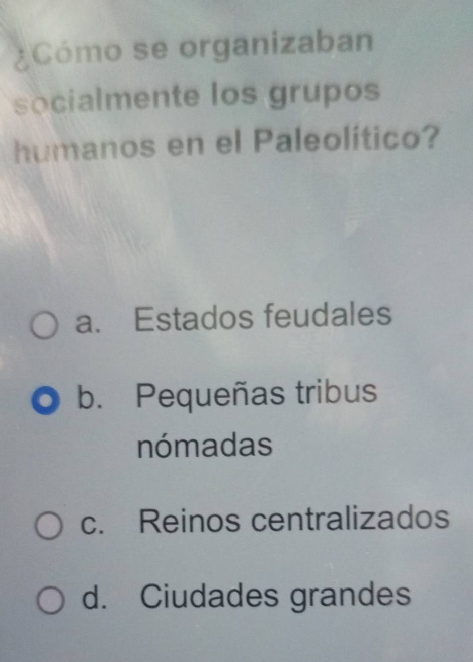 ¿Cómo se organizaban
socialmente los grupos
humanos en el Paleolítico?
a. Estados feudales
b. Pequeñas tribus
nómadas
c. Reinos centralizados
d. Ciudades grandes