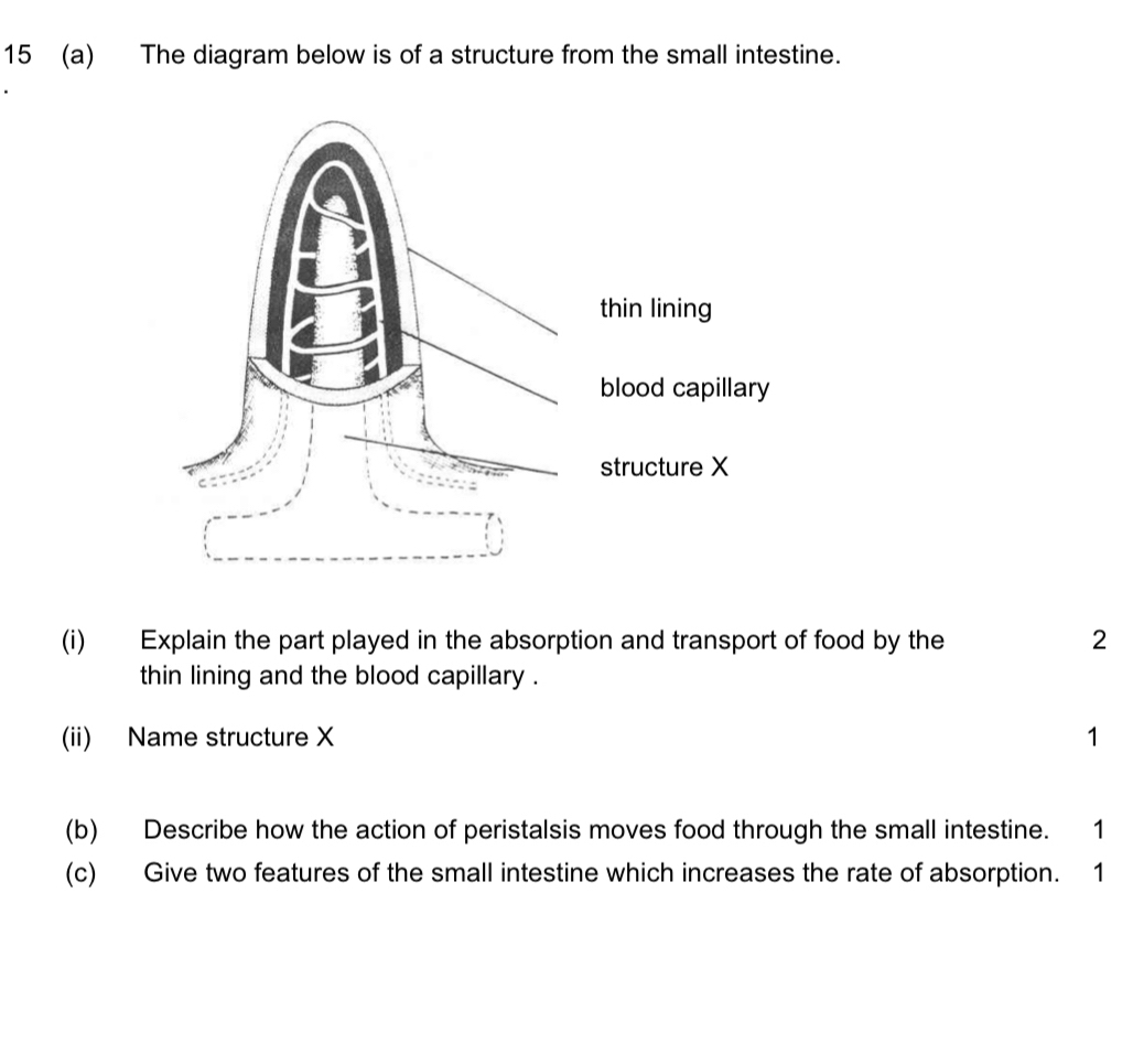 Solved: 15 (a) The diagram below is of a structure from the small ...