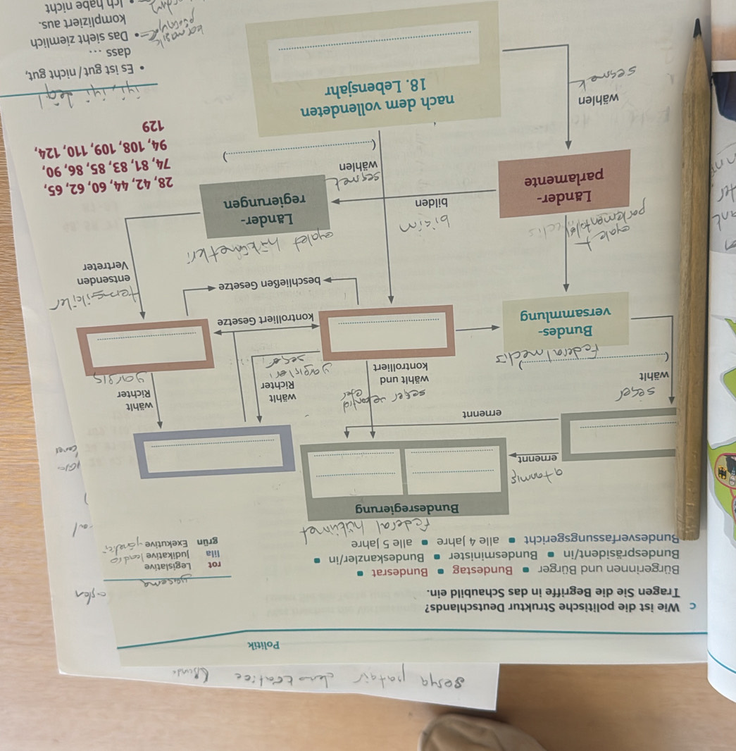 Politik 
c Wie ist die politische Struktur Deutschlands? 
Tragen Sie die Begriffe in das Schaubild ein. 
Bürgerinnen und Bürger Bundestag Bundesrat 
_ 
Bundespräsident/in • Bundesminister Bundeskanzler/in rot Legislative 
Bundesverfassungsgericht ■ alle 4 Jahre alle 5 Jahre lila Judikative od 
grün Exekutive 
Bundesregierung 
_ 
_ 
ernennt 
_ 
_ 
_ 
ernennt 
wählt 
wählt 
wählt wählt und Richter Richter 
kontrolliert 
C 
_ 
_ 
_ 
Bundes- 
_ 
versammlung 
kontrolliert Gesetze 
beschließen Gesetze 
entsenden 
Vertreter 
Länder- 
Länder- bilden 
regierungen 
parlamente 
wählen 28, 42, 44, 60, 62, 65, 
seqme 
.) 74, 81, 83, 85, 86, 90, 
 
_ 94, 108, 109, 110, 124,
129
wählen 
nach dem vollendeten 
18. Lebensjahr 
_ 
Es ist gut / nicht gut, 
_ 
dass .. . 
Das sieht ziemlich 
kompliziert aus. 
Ich habe nicht