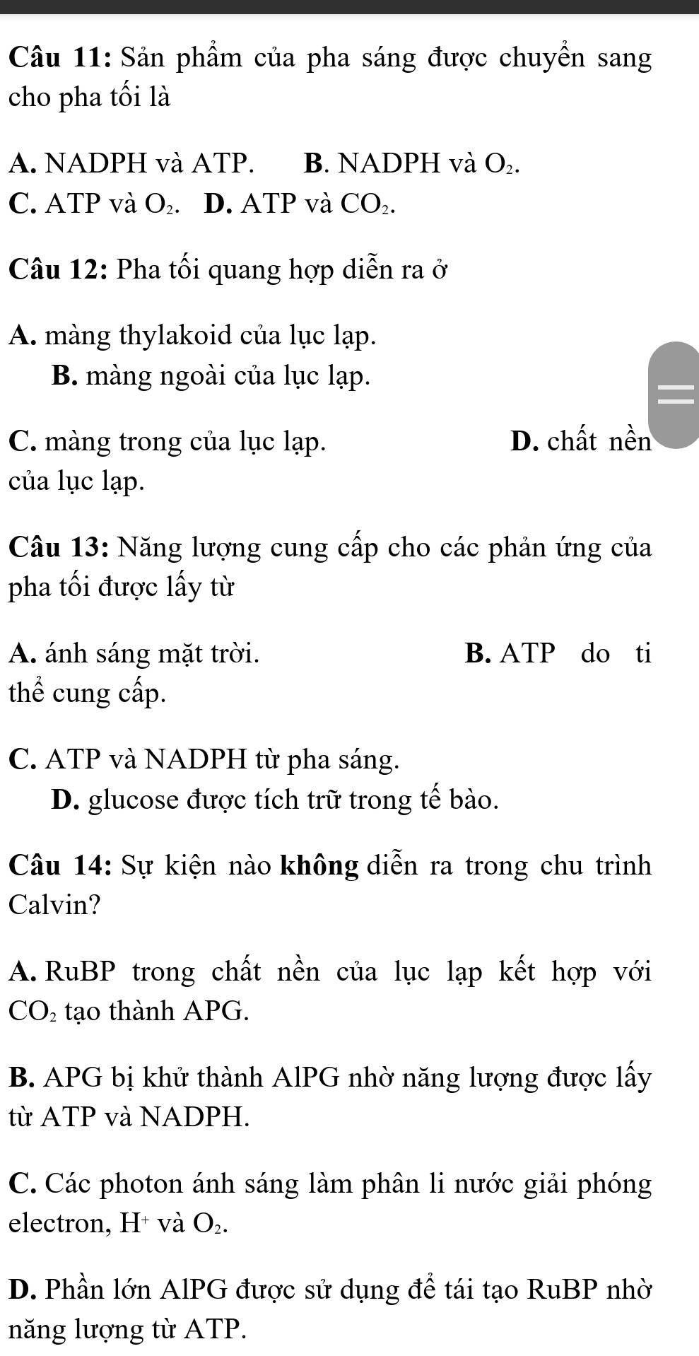 Sản phẩm của pha sáng được chuyển sang
cho pha tối là
A. NADPH và ATP. B. NADPH và O_2.
C. ATP và O_2 .D. ATP và CO₂.
Câu 12: Pha tối quang hợp diễn ra ở
A. màng thylakoid của lục lạp.
B. màng ngoài của lục lạp.
C. màng trong của lục lạp. D. chất nền
của lục lạp.
Câu 13: Năng lượng cung cấp cho các phản ứng của
pha tối được lấy từ
A. ánh sáng mặt trời. B. ATP do ti
thể cung cấp.
C. ATP và NADPH từ pha sáng.
D. glucose được tích trữ trong tế bào.
Câu 14: Sự kiện nào không diễn ra trong chu trình
Calvin?
A.RuBP trong chất nền của lục lạp kết hợp với
( CO_2 tạo thành APG.
B. APG bị khử thành AlPG nhờ năng lượng được lấy
từ ATP và NADPH.
C. Các photon ánh sáng làm phân li nước giải phóng
electron, H⁺ và O_2.
D. Phần lớn AlPG được sử dụng để tái tạo RuBP nhờ
năng lượng từ ATP.