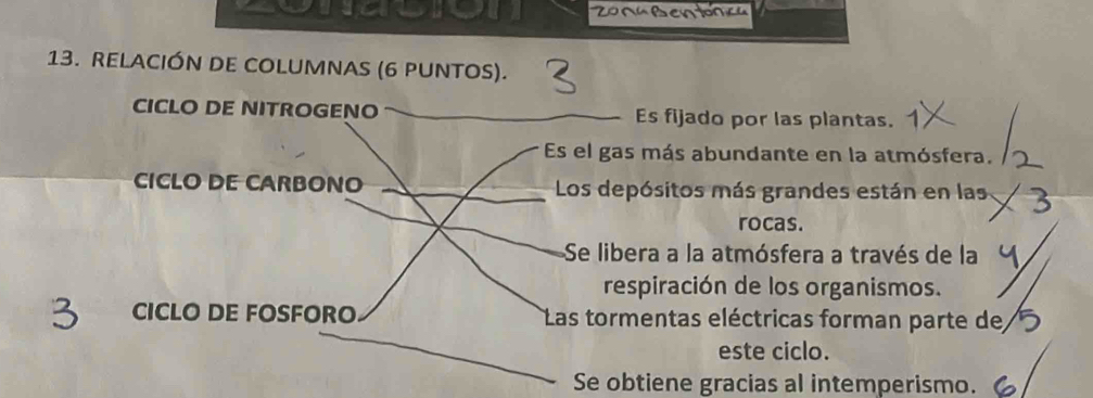 2onacon 200'ßentonca 
13. RELACIÓN DE COLUMNAS (6 PUNTOS). 
CICLO DE NITROGENO Es fijado por las plantas. 
Es el gas más abundante en la atmósfera. 
CICLO DE CARBONO Los depósitos más grandes están en las 
rocas. 
Se libera a la atmósfera a través de la 
respiración de los organismos. 
CICLO DE FOSFORO Las tormentas eléctricas forman parte de 
este ciclo. 
Se obtiene gracias al intemperismo.