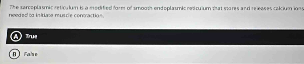 The sarcoplasmic reticulum is a modified form of smooth endoplasmic reticulum that stores and releases calcium ions
needed to initiate muscle contraction.
True
B False