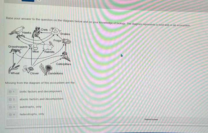 Base your answer to the question on the diagram below and on your knowledge of biology. The diagram represents a food web in an ecosystem
Missing from the diagram of this ecosystem are the
1. biotic factors and decomposers
2 abiotic factors and decomposers
4 autotrophs, only
4. heterotrophs, only
Submit Answer