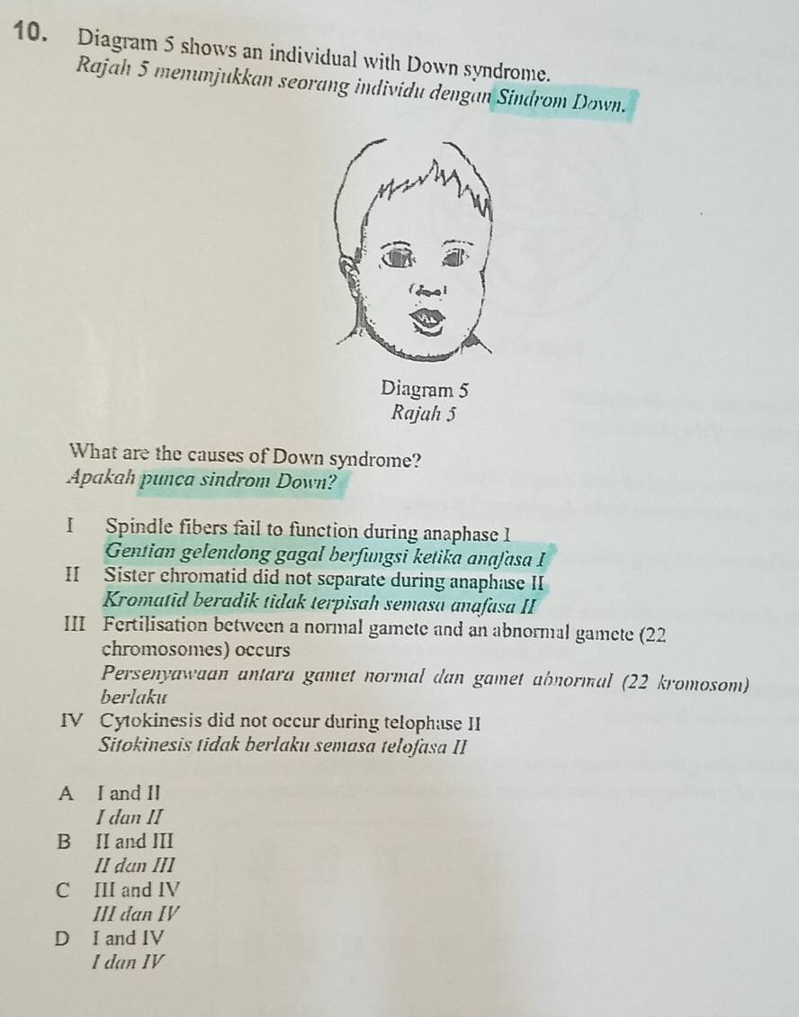 Diagram 5 shows an individual with Down syndrome.
Rajah 5 menunjukkan seorang individu dengan Sindrom Down.
Rajah 5
What are the causes of Down syndrome?
Apakah punca sindrom Down?
I Spindle fibers fail to function during anaphase 1
Gentian gelendong gagal berfungsi ketika anafasa I
II Sister chromatid did not scparate during anaphase II
Kromatid beradik tidak terpisah semasa anafasa II
III Fertilisation between a normal gamete and an abnormal gamete (22
chromosomes) occurs
Persenyawaan antara gamet normal dan gamet abnormal (22 kromosom)
berlaku
IV Cytokinesis did not occur during telophase II
Sitokinesis tidak berlaku semasa telofasa II
A I and II
I dan II
B II and III
II dan III
C III and IV
III đan IV
D I and IV
I dan IV