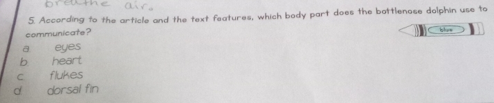 According to the article and the text features, which body part does the bottlenose dolphin use to
communicate? blue
a eyes
b. heart
c flukes
d dorsal fin