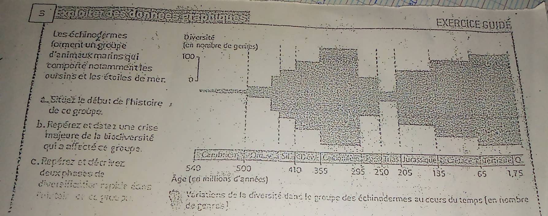 exercice Guidé 
Les échinogermes Diversité 
forment un groupe (en nonibre de genres) 
d'anim ɨux marins gui 100
comporté notamment les 
oursins et les étoiles de mer n 
L Sittez le début de l'histoire 
de ce groüpe. 
b. Repérez et datez une crise 
majeure de la biociversité 
qui a affecté ce groupe. 
Cambrc 
c. Repérez et décrivez 
J
540 5o0 410
deux phasès de 355 295 250 205 i35 65 1,75
Âge (en millions d'années) 
diversification rspicle dans 
én éa grœu pu 
* Variations de la diversité dand le groupe des échinodermes au cours du temps (en nombre 
de genres)