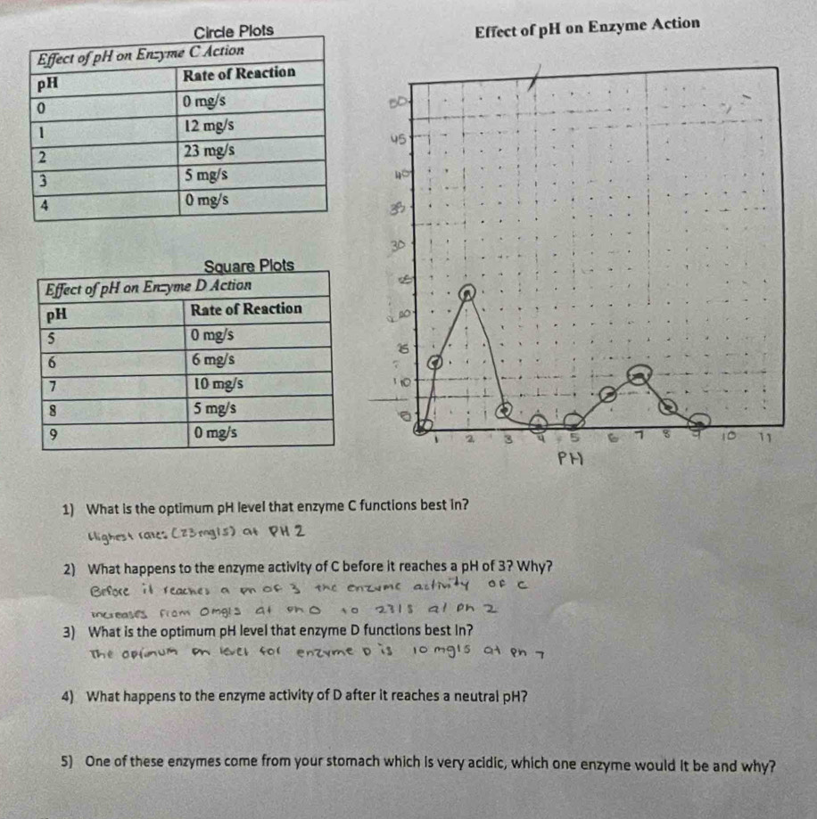 Effect of pH on Enzyme Action 
。
11
、 2 3 q 5 7 8 10
PH 
1) What is the optimum pH level that enzyme C functions best in? 
2) What happens to the enzyme activity of C before it reaches a pH of 3? Why? 
3) What is the optimum pH level that enzyme D functions best In? 
4) What happens to the enzyme activity of D after it reaches a neutral pH? 
5) One of these enzymes come from your stomach which is very acidic, which one enzyme would it be and why?