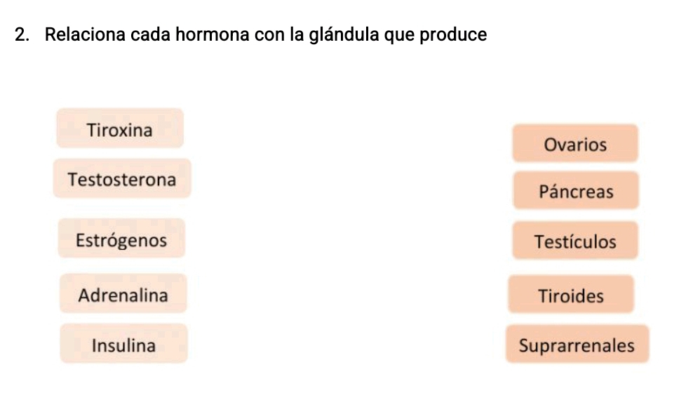 Relaciona cada hormona con la glándula que produce
Tiroxina
Ovarios
Testosterona
Páncreas
Estrógenos Testículos
Adrenalina Tiroides
Insulina Suprarrenales