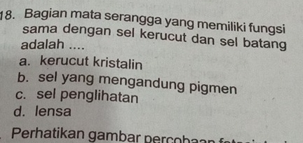 Bagian mata serangga yang memiliki fungsi
sama dengan sel kerucut dan sel batang
adalah ....
a. kerucut kristalin
b. sel yang mengandung pigmen
c. sel penglihatan
d. lensa
Perhatikan gambar perçoba