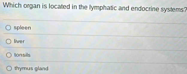 Which organ is located in the lymphatic and endocrine systems?
spleen
liver
tonsils
thymus gland