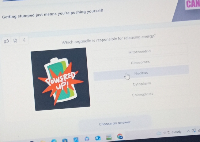 CAN
Getting stumped just means you're pushing yourself!
Which organelle is responsible for releasing energy?
Mitochondria
Ribosomes
Nucieus
Cytoplasm
Chioroplasts
Choose an answer
11°C Cloudy