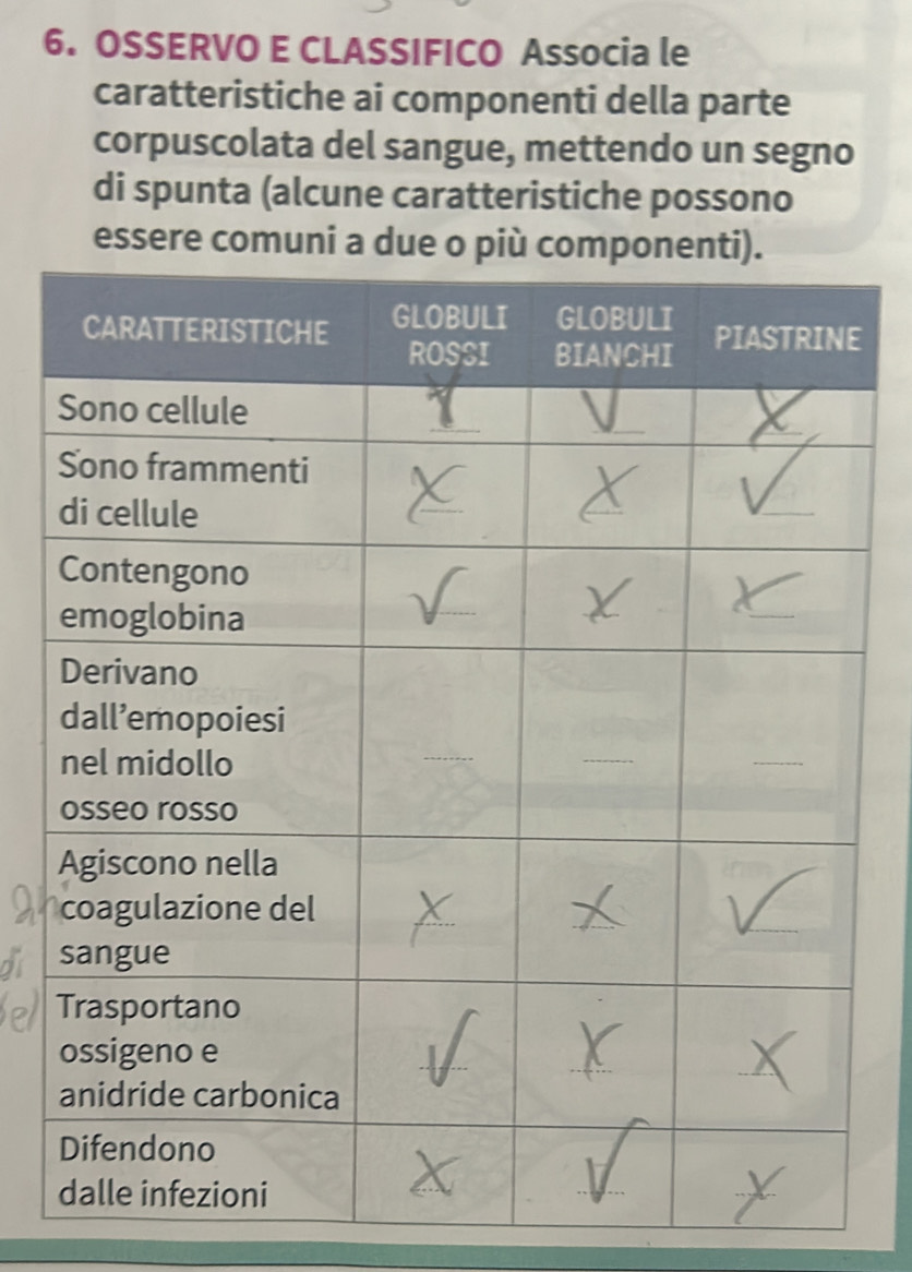 OSSERVO E CLASSIFICO Associa le 
caratteristiche ai componenti della parte 
corpuscolata del sangue, mettendo un segno 
di spunta (alcune caratteristiche possono 
essere comuni a d 
E