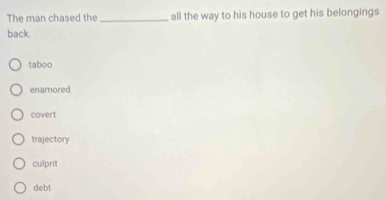 The man chased the _all the way to his house to get his belongings
back.
taboo
enamored
covert
trajectory
culprit
debt