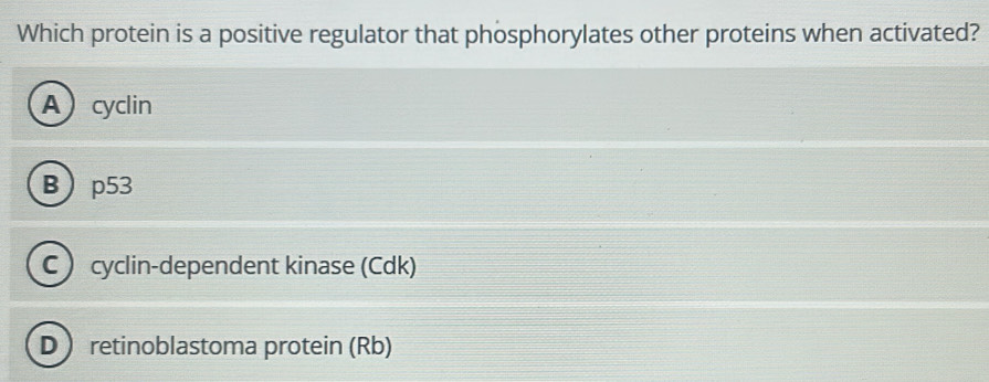 Solved: Which protein is a positive regulator that phosphorylates other ...