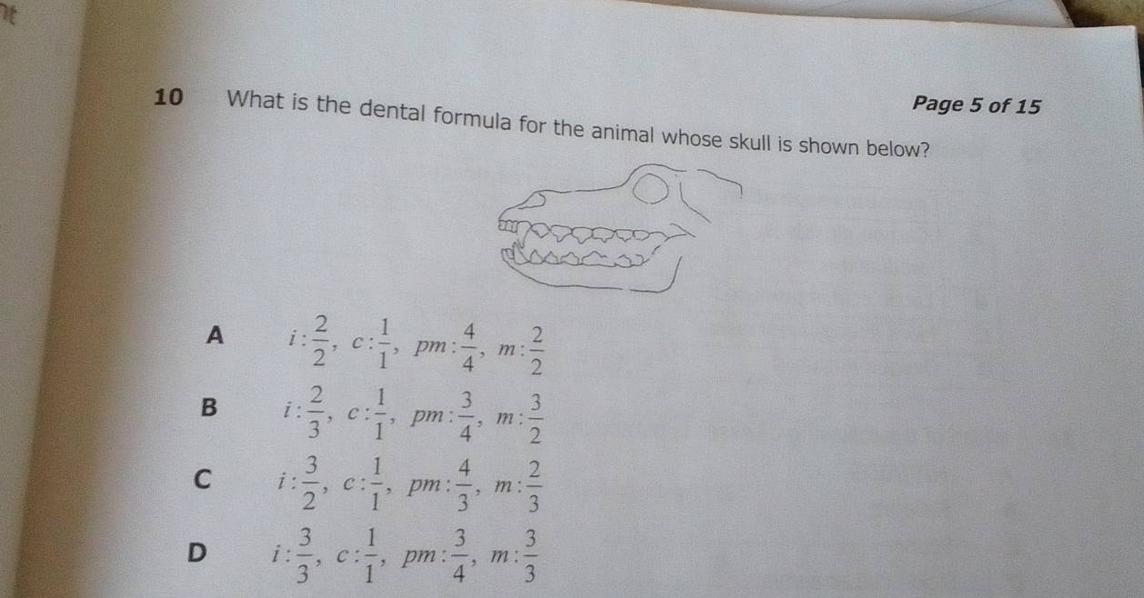 It
Page 5 of 15
10 What is the dental formula for the animal whose skull is shown below?
A i: 2/2 , c: 1/1 , pm : 4/4 , m: 2/2 
B i :  2/3 , c: 1/1 , pm :  3/4 , m: 3/2 
C i: 3/2 , c: 1/1  , pm :  4/3 , m: 2/3 
D i  3/3 , c: 1/1 , ,pm :  3/4 , m: 3/3 