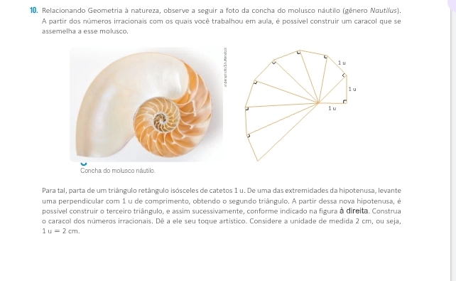 Relacionando Geometria à natureza, observe a seguir a foto da concha do molusco náutilo (gênero Ναυtίίus). 
A partir dos números irracionais com os quais você trabalhou em aula, é possível construir um caracol que se 
assemelha a esse molusco. 
1u 
1u 
J 1 u 
5 
Para tal, parta de um triângulo retângulo isósceles de catetos 1 u. De uma das extremidades da hipotenusa, levante 
uma perpendicular com 1 u de comprimento, obtendo o segundo triângulo. A partir dessa nova hipotenusa, é 
possível construir o terceiro triângulo, e assim sucessivamente, conforme indicado na figura à direita. Construa 
o caracol dos números irracionais. Dê a ele seu toque artístico. Considere a unidade de medida 2 cm, ou seja,
1u=2cm.