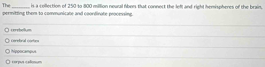 The _is a collection of 250 to 800 million neural fibers that connect the left and right hemispheres of the brain,
permitting them to communicate and coordinate processing.
cerebellum
cerebral cortex
hippocampus
corpus callosum