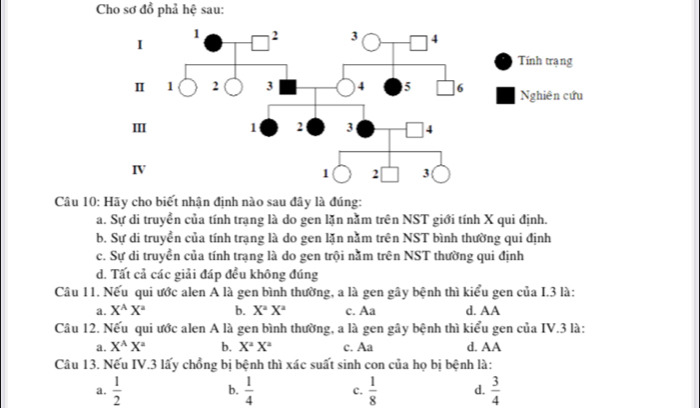 Cho sơ đồ phả hệ sau:
Câu 10: Hãy cho biết nhận định nào sau đây là đúng:
a. Sự di truyền của tính trạng là do gen lặn nằm trên NST giới tính X qui định.
b. Sự di truyền của tính trạng là do gen lặn nằm trên NST bình thường qui định
c. Sự di truyền của tính trạng là do gen trội nằm trên NST thường qui định
d. Tất cả các giải đáp đều không đúng
Câu 11. Nếu qui ước alen A là gen bình thường, a là gen gây bệnh thì kiểu gen của I.3 là:
a. X^(wedge)X^2 b. X^2X^2 c. Aa d. AA
Câu 12. Nếu qui ước alen A là gen bình thường, a là gen gây bệnh thì kiểu gen của IV.3 là:
a. X^AX^2 b. X^2X^2 c. Aa d. AA
Câu 13. Nếu IV.3 lấy chồng bị bệnh thì xác suất sinh con của họ bị bệnh là:
a.  1/2  b.  1/4  c.  1/8  d.  3/4 