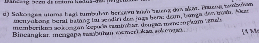 Banding beza di antara kedua-dua perger 
d) Sokongan utama bagi tumbuhan berkayu ialah batang dan akar. Batang tumbuhan 
menyokong berat batang itu sendiri dan juga berat daun, bunga dan buah. Akar 
memberikan sokongan kepada tumbuhan dengan mencengkam tanah. 
Bincangkan mengapa tumbuhan memerlukan sokongan. 
[ 4 M