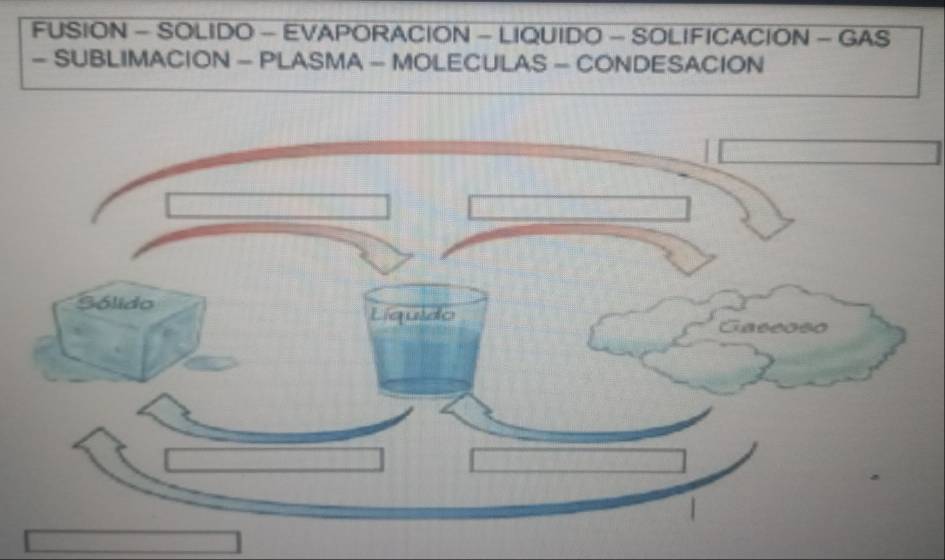 FUSION - SOLIDO - EVAPORACION - LIQUIDO - SOLIFICACION - GAS 
- SUBLIMACION - PLASMA - MOLECULAS - CONDESACION