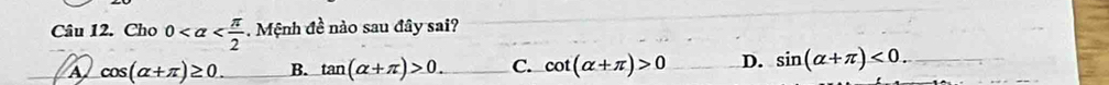 Cho 0 . Mệnh đề nào sau đây sai?
A cos (alpha +π )≥ 0 B. tan (alpha +π )>0. C. cot (alpha +π )>0 D. sin (alpha +π )<0</tex> _