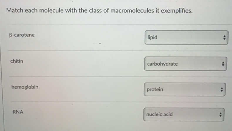 Solved: Match each molecule with the class of macromolecules it ...