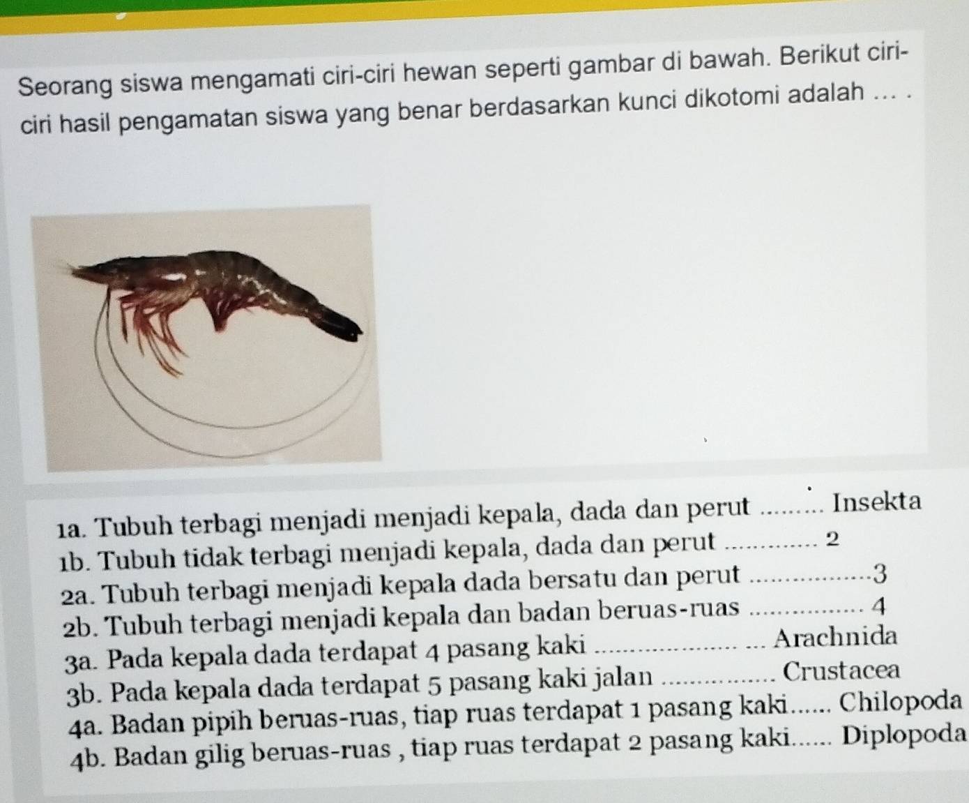 Seorang siswa mengamati ciri-ciri hewan seperti gambar di bawah. Berikut ciri- 
ciri hasil pengamatan siswa yang benar berdasarkan kunci dikotomi adalah ... . 
1a. Tubuh terbagi menjadi menjadi kepala, dada dan perut ......... Insekta 
1b. Tubuh tidak terbagi menjadi kepala, dada dan perut _2 
2a. Tubuh terbagi menjadi kepala dada bersatu dan perut_ 
3 
2b. Tubuh terbagi menjadi kepala dan badan beruas-ruas_ 
4 
3a. Pada kepala dada terdapat 4 pasang kaki _Arachnida 
3b. Pada kepala dada terdapat 5 pasang kaki jalan_ 
Crustacea 
4a. Badan pipih beruas-ruas, tiap ruas terdapat 1 pasang kaki...... Chilopoda 
4b. Badan gilig beruas-ruas , tiap ruas terdapat 2 pasang kaki...... Diplopoda