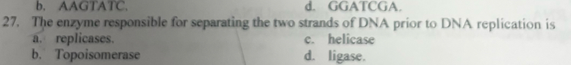 b, AAGTATC, d. GGATCGA.
27. The enzyme responsible for separating the two strands of DNA prior to DNA replication is
a. replicases. c. helicase
b. Topoisomerase d. ligase.