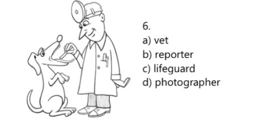 a) vet
b) reporter
c) lifeguard
d) photographer