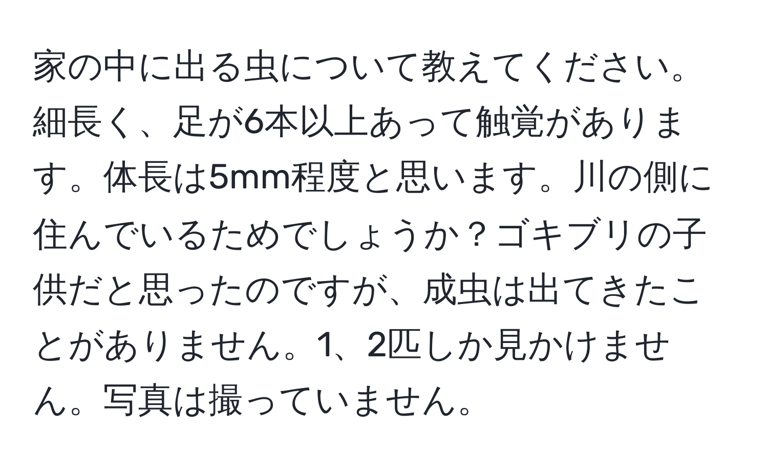 家の中に出る虫について教えてください。細長く、足が6本以上あって触覚があります。体長は5mm程度と思います。川の側に住んでいるためでしょうか？ゴキブリの子供だと思ったのですが、成虫は出てきたことがありません。1、2匹しか見かけません。写真は撮っていません。