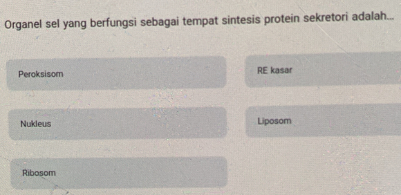 Organel sel yang berfungsi sebagai tempat sintesis protein sekretori adalah...
Peroksisom RE kasar
Nukleus Liposom
Ribosom