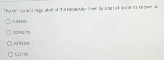 Solved: The cell cycle is regulated at the molecular level by a set of ...