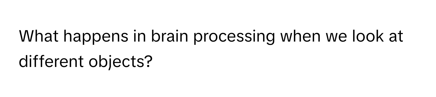 What happens in brain processing when we look at different objects?