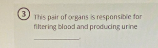 This pair of organs is responsible for 
filtering blood and producing urine 
_.