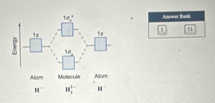 Answer Bank
1